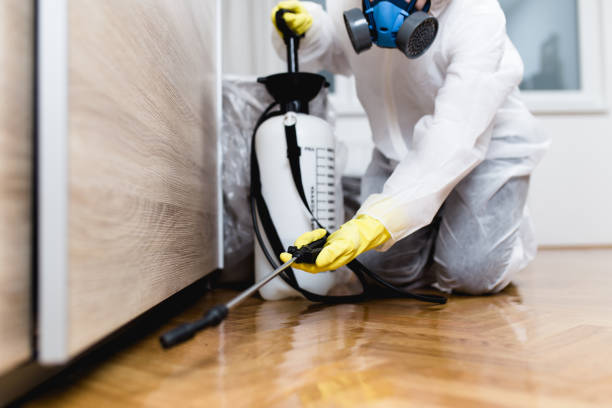 Best Bed Bug Extermination  in Upland, IN