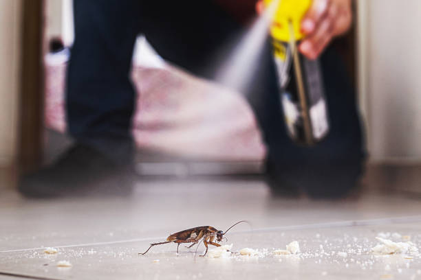Best Rodent Control Near Me  in Upland, IN
