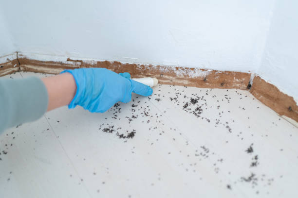 Best Best Pest Control Companies  in Upland, IN