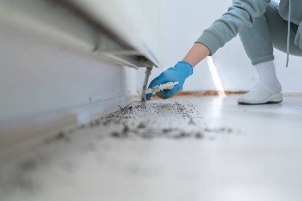 Best Wasp Removal Services  in Upland, IN