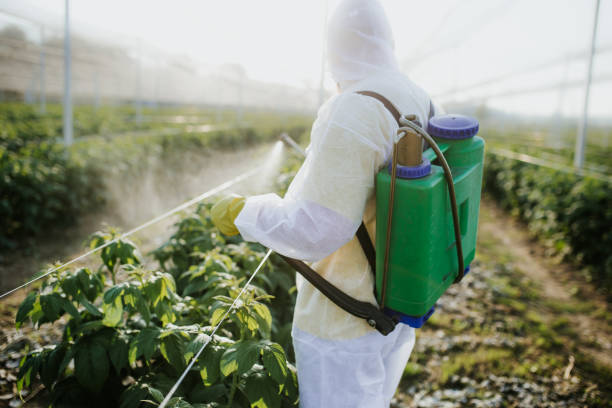 Best Termite Control Services  in Upland, IN